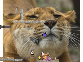 cannon ballllllllllll 1