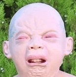 AWESOME CLICKBAIT 1 1