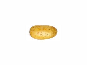 Potato