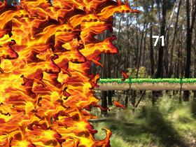 Forest Fire mod - copy