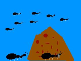 ant hill