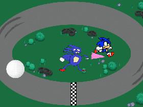 Sonic and Sanic?!