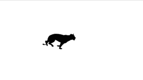 Cat run animation