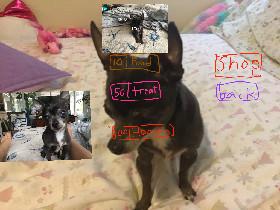 dog clicker