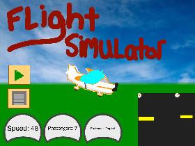 Flight Simulator 1