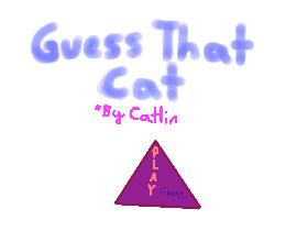 Guess That Cat 1