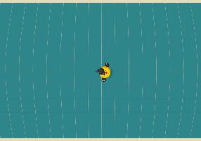 Bird Mayhem 1