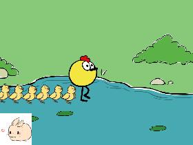 who wants baby ducks 🐥🐥🐥