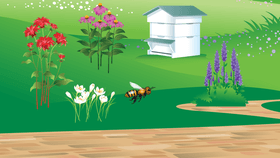 Bee Game