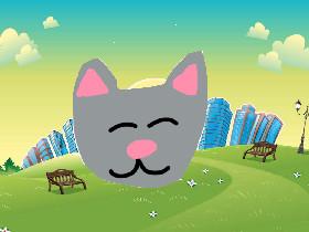 Cat Animation