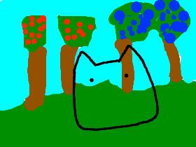 Learn To Draw 1