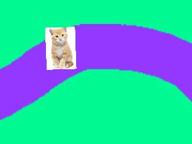 do not fall (cat)