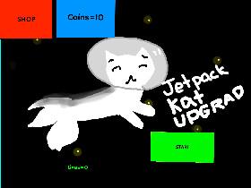 JETPACK KAT! UPGERAD