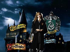 Harry Potter Game