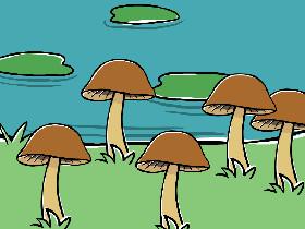 Touch the mushroom