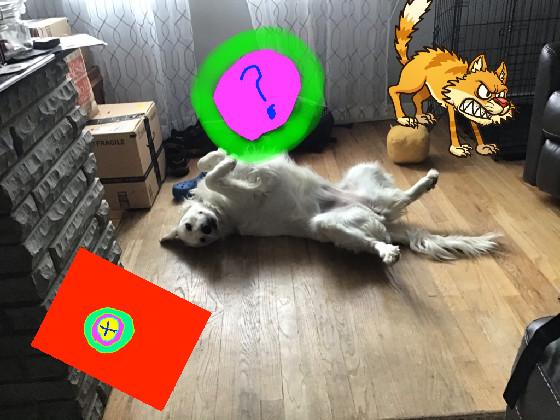 dogcat clicker