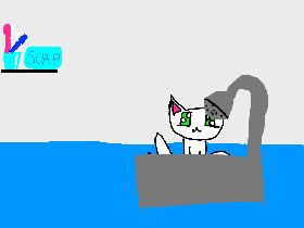 Kitty cat bath 
