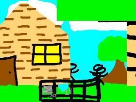 24 hours in the forest