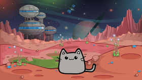 Why Do Cat Cannot Go Space?