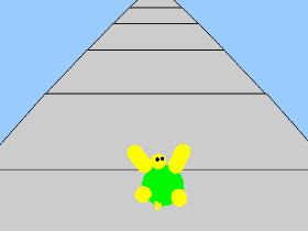 turtle run
