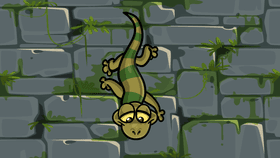 lizard thingy