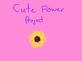 Cute Flower Project