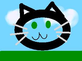 weird cat thing