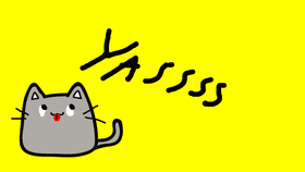 awesome kitty pusheen meme