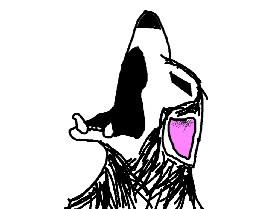 drawing of a wolf