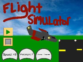 Flight Simulator