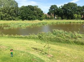 camping and picnic pleace