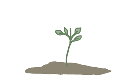 Week 1: Rising Flower