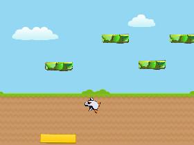penguin bounce 1