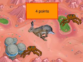 Rabbit chase:Enemy spider!