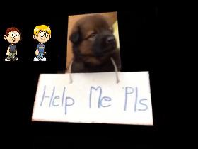 Save a puppy please