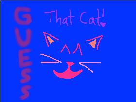 Guess The cat