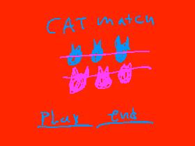 cat match