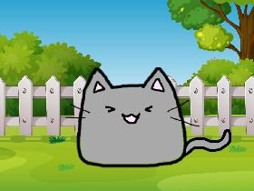 Learn To Draw a cat🐈