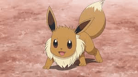 eevee fight