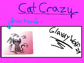 “I AM CAT CRAZY!!!”