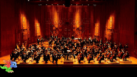 The orchestra!