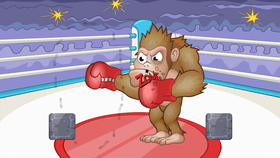 Boxing Match