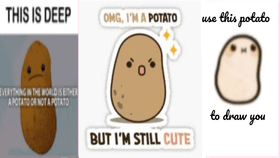 potato memes