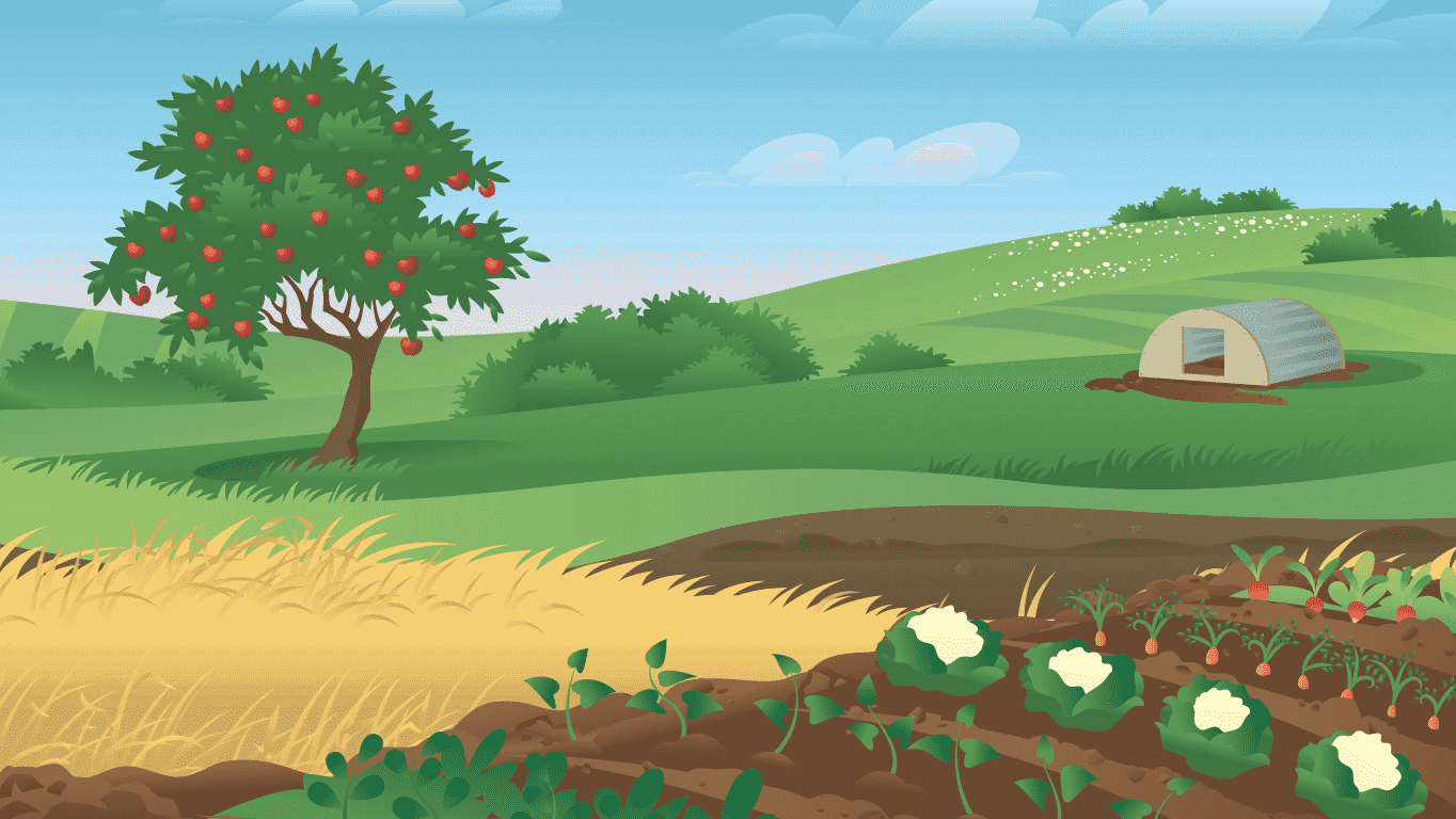 Tour of the Farm