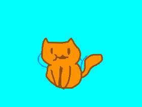copy cat