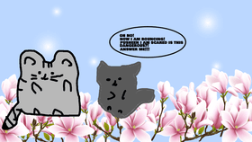bouncing cat