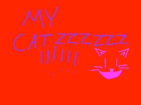 MY CATZZZZZZ!!!!!!