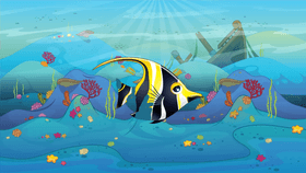 Rainbow Fish 1 Reagan