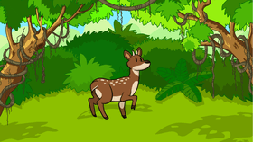 Forest And Animal Quiz!
