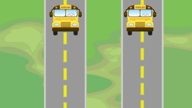 Chicken Crossing